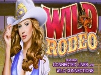 Wild Rodeo