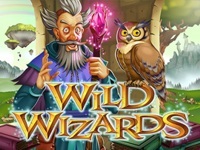 Wild Wizards RTG